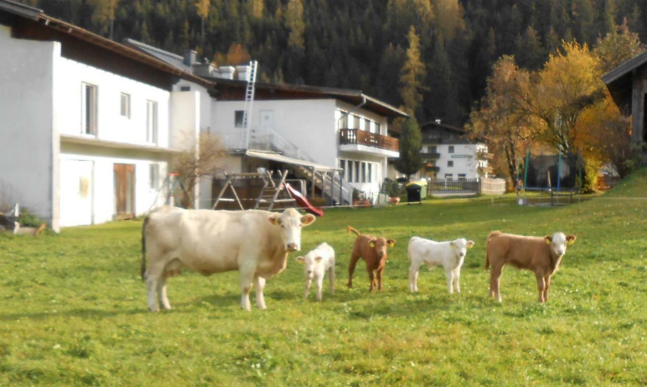 Ferienhaus Dankl Hollersbach im Pinzgau Eksteriør billede